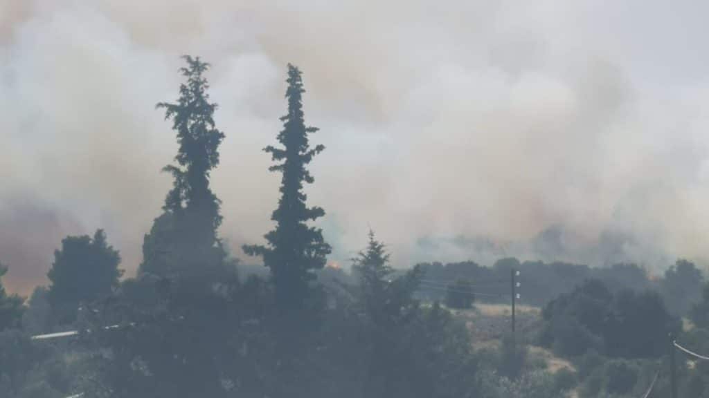 Φωτιά τώρα σε δασική έκταση έξω από τα Ψαχνά Εύβοιας (photos & video)