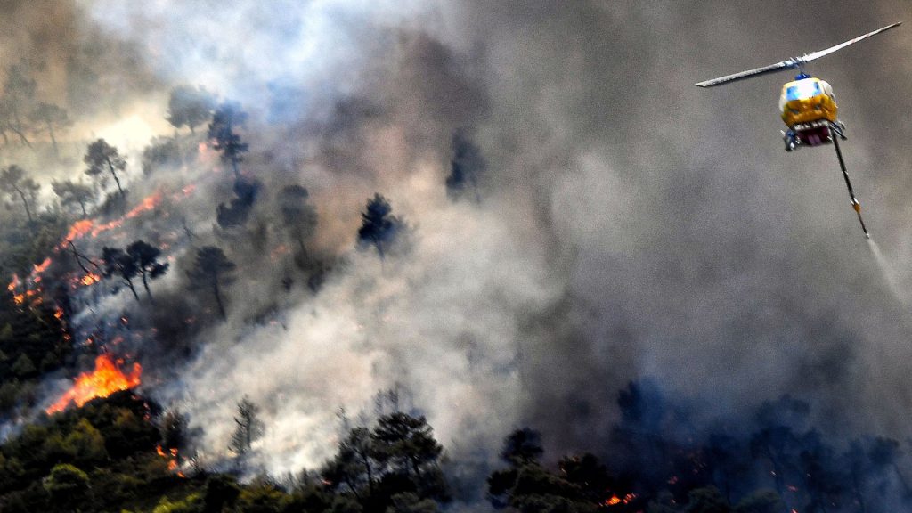 Ανοικτά για τους πυρόπληκτους Ζηρίνειο και Κλειστό Βριλησσίων